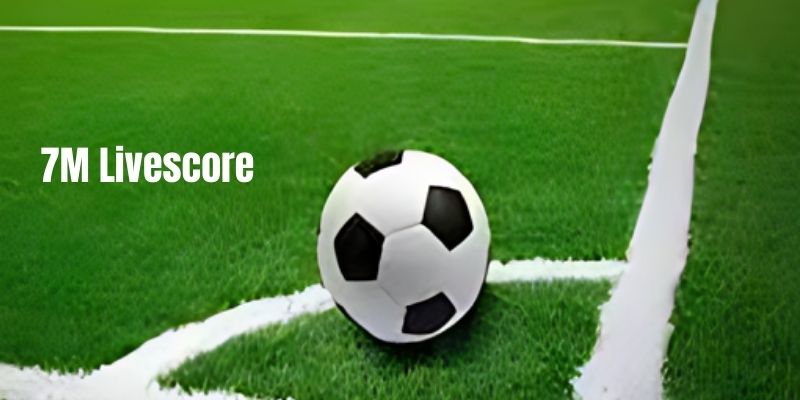 Tìm hiểu công cụ hữu ích 7M livescore