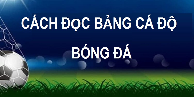 cách đọc bảng cá cươc